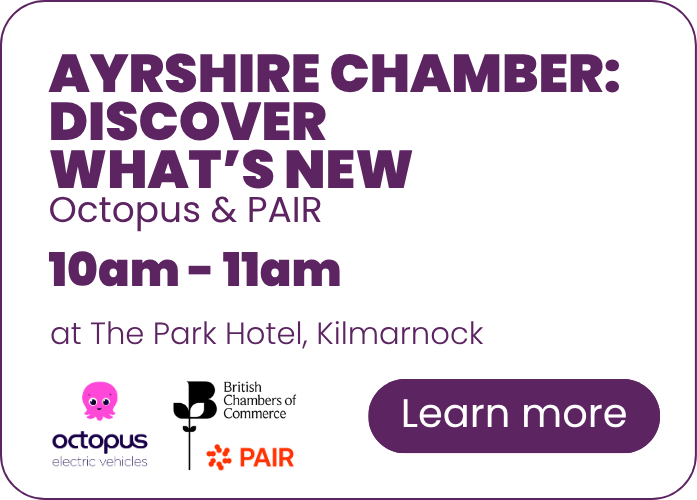 BW26 Wednesday B2B Discover What's New webpage 1